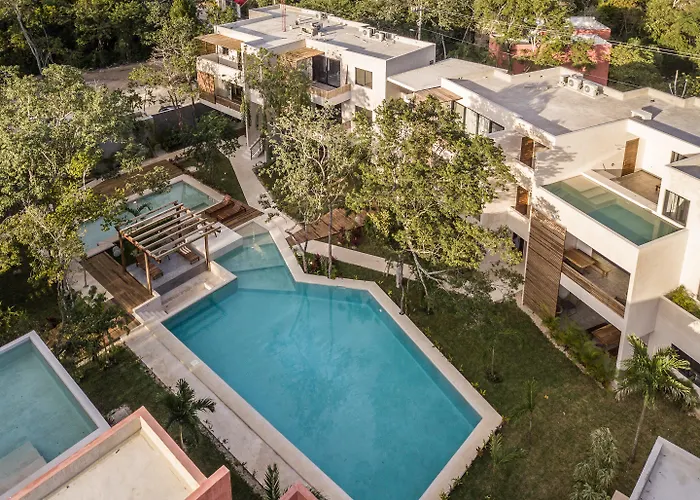 Panacea Tulum