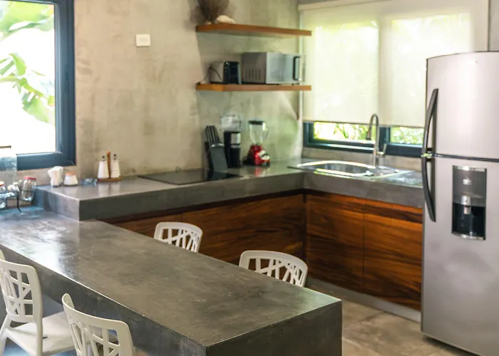 Panacea Tulum
